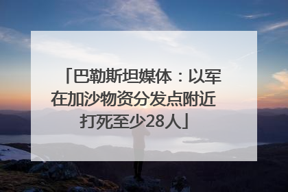 巴勒斯坦媒体：以军在加沙物资分发点附近打死至少28人