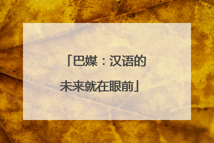 巴媒：汉语的未来就在眼前