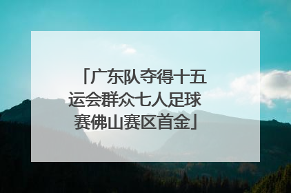 广东队夺得十五运会群众七人足球赛佛山赛区首金