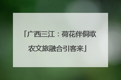 广西三江：荷花伴侗歌 农文旅融合引客来