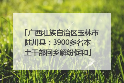广西壮族自治区玉林市陆川县：3900多名本土干部回乡解纷促和