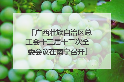 广西壮族自治区总工会十三届十二次全委会议在南宁召开