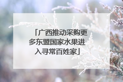 广西推动采购更多东盟国家水果进入寻常百姓家