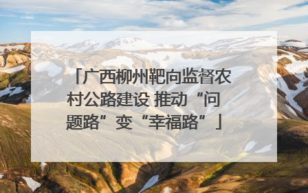 广西柳州靶向监督农村公路建设 推动“问题路”变“幸福路”