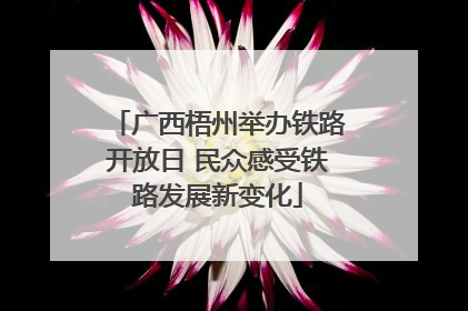 广西梧州举办铁路开放日 民众感受铁路发展新变化
