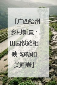 广西梧州乡村新景：田园铁路相映 勾勒和美画卷