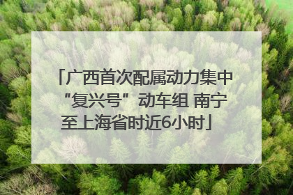 广西首次配属动力集中“复兴号”动车组 南宁至上海省时近6小时