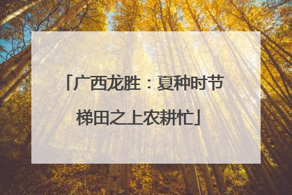 广西龙胜：夏种时节 梯田之上农耕忙