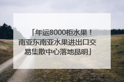 年运8000柜水果！南亚东南亚水果进出口交易集散中心落地昆明