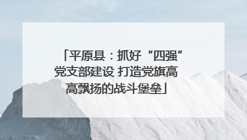 平原县：抓好“四强”党支部建设 打造党旗高高飘扬的战斗堡垒