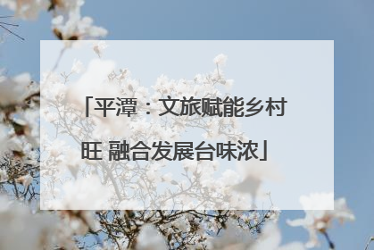 平潭：文旅赋能乡村旺 融合发展台味浓