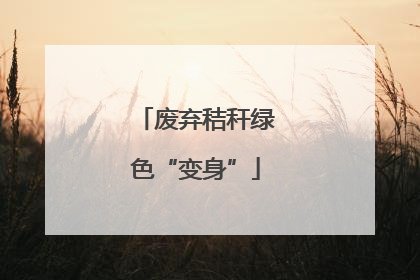 废弃秸秆绿色“变身”