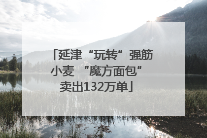 延津“玩转”强筋小麦 “魔方面包”卖出132万单