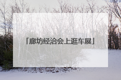 廊坊经洽会上逛车展