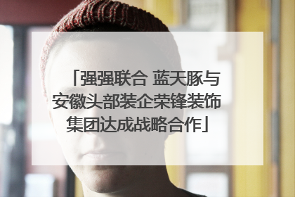 强强联合 蓝天豚与安徽头部装企荣锋装饰集团达成战略合作