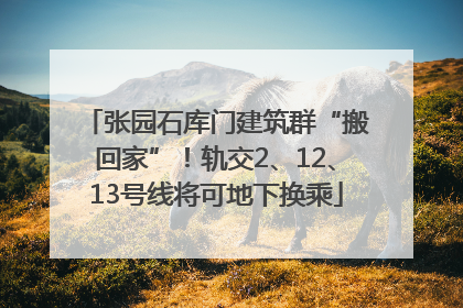 张园石库门建筑群“搬回家”！轨交2、12、13号线将可地下换乘