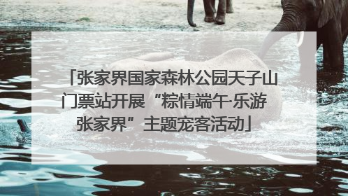 张家界国家森林公园天子山门票站开展“粽情端午·乐游张家界”主题宠客活动