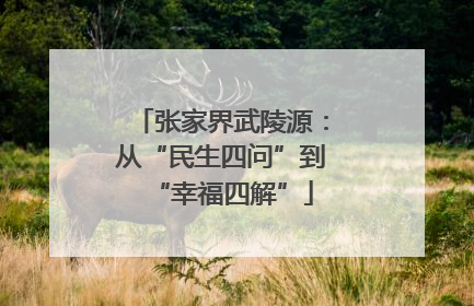 张家界武陵源：从“民生四问”到“幸福四解”