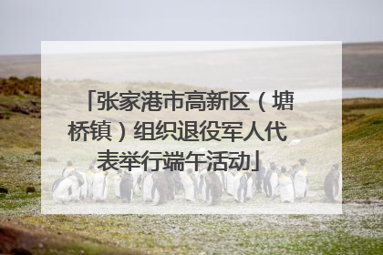 张家港市高新区（塘桥镇）组织退役军人代表举行端午活动