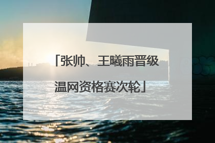 张帅、王曦雨晋级温网资格赛次轮