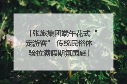 张旅集团端午花式“宠游客” 传统民俗体验拉满假期氛围感