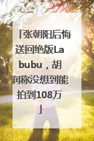 张朝阳后悔送回绝版Labubu，胡润称没想到能拍到108万