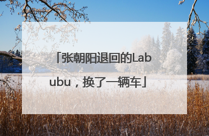 张朝阳退回的Labubu，换了一辆车