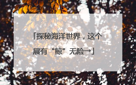 探秘海洋世界，这个展有“鲸”无险→
