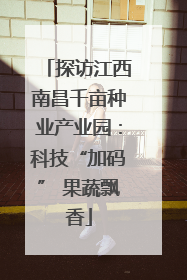 探访江西南昌千亩种业产业园：科技“加码” 果蔬飘香