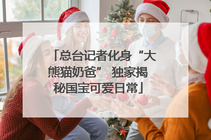 总台记者化身“大熊猫奶爸” 独家揭秘国宝可爱日常