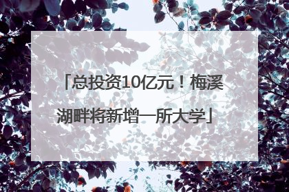 总投资10亿元！梅溪湖畔将新增一所大学