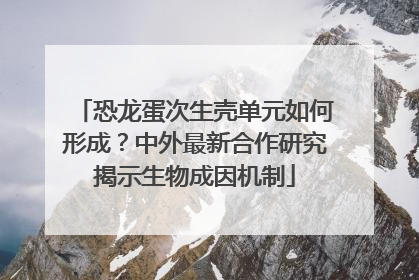 恐龙蛋次生壳单元如何形成？中外最新合作研究揭示生物成因机制
