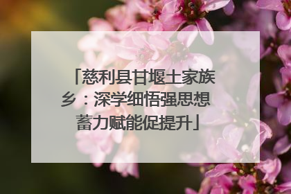 慈利县甘堰土家族乡：深学细悟强思想 蓄力赋能促提升