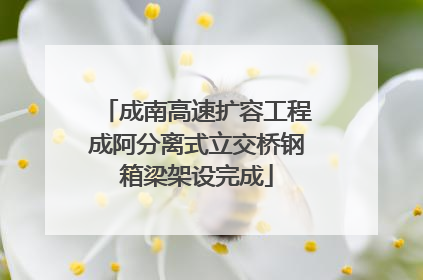 成南高速扩容工程成阿分离式立交桥钢箱梁架设完成
