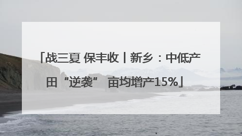 战三夏 保丰收丨新乡：中低产田“逆袭” 亩均增产15%