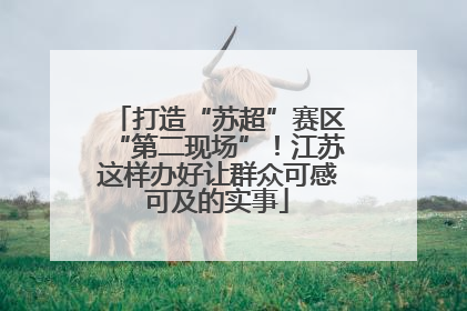 打造“苏超”赛区“第二现场”！江苏这样办好让群众可感可及的实事