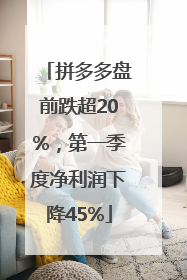 拼多多盘前跌超20%，第一季度净利润下降45%
