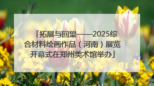 拓展与回望——2025综合材料绘画作品（河南）展览开幕式在郑州美术馆举办