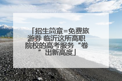 招生简章=免费旅游券 临沂这所高职院校的高考服务“卷”出新高度