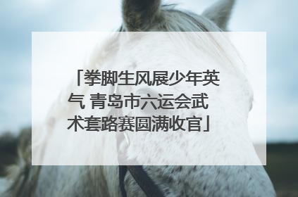 拳脚生风展少年英气 青岛市六运会武术套路赛圆满收官