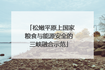 松嫩平原上国家粮食与能源安全的三峡融合示范