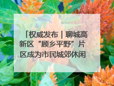 权威发布｜聊城高新区“顾乡平野”片区成为市民城郊休闲全新目的地
