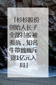 杉杉股份创始人长子全部持股被强执，知名牛散魏巍斥资1亿元入局