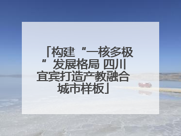 构建“一核多极”发展格局 四川宜宾打造产教融合城市样板