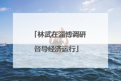 林武在淄博调研督导经济运行