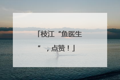 枝江“鱼医生”，点赞！