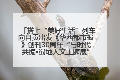 搭上“美好生活”列车向自贡出发《华西都市报》创刊30周年“与时代共振•蜀地人文主题展”5月30日开展丨美好生活有“盐”味