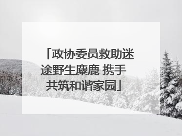 政协委员救助迷途野生麋鹿 携手共筑和谐家园