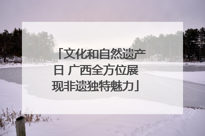 文化和自然遗产日 广西全方位展现非遗独特魅力