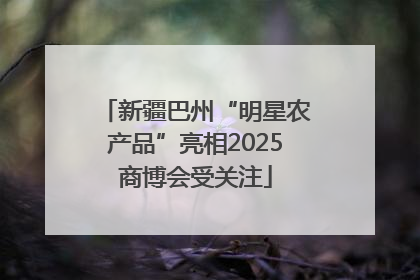 新疆巴州“明星农产品”亮相2025商博会受关注
